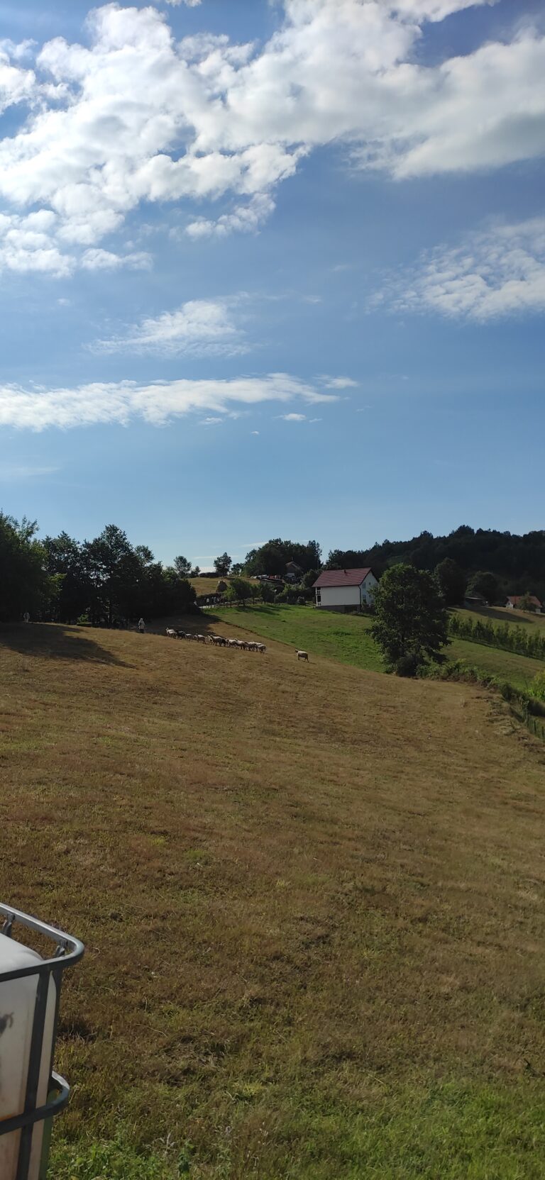 IMG_20220710_084012